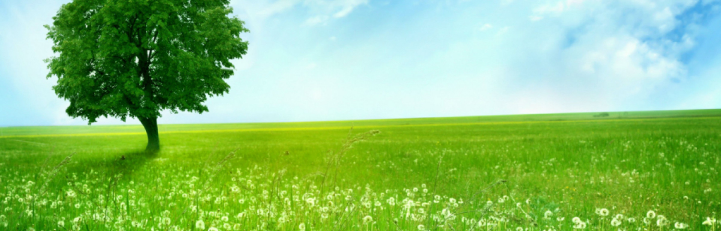 Banner Société de Nettoyage