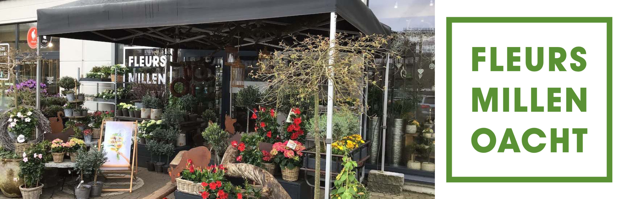 Banner Fleurs Millenoacht