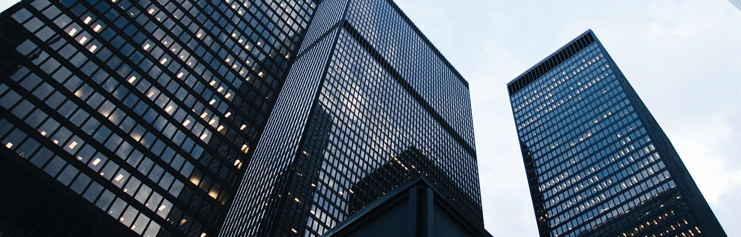 Banner Dynamik capital