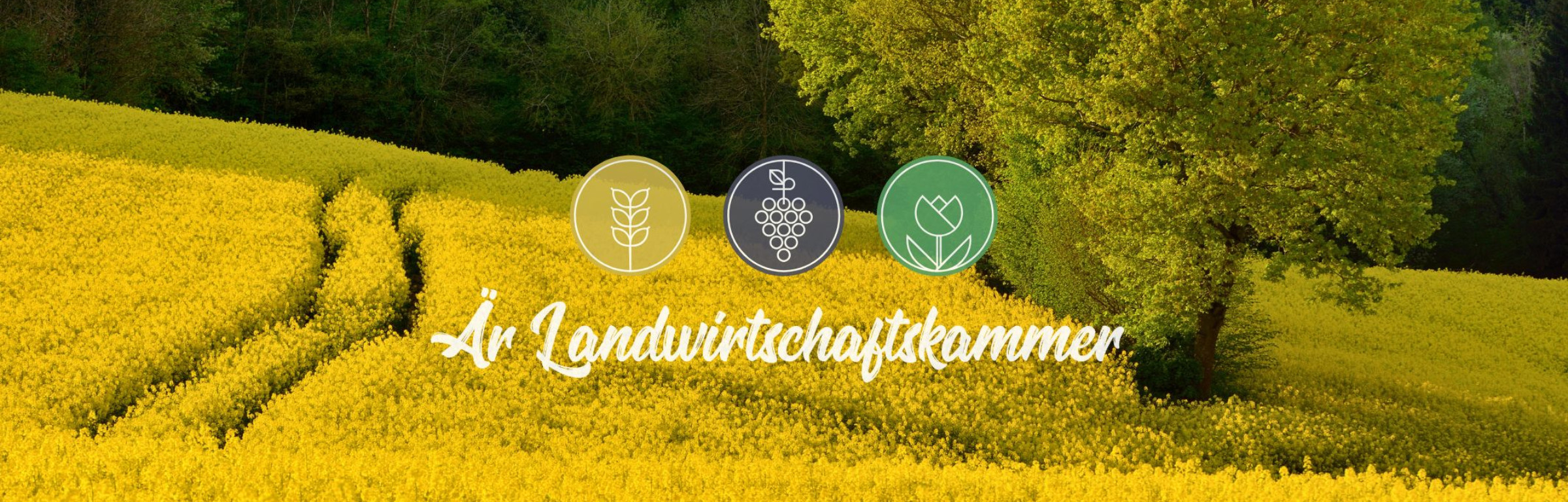 Banner Chambre d'Agriculture