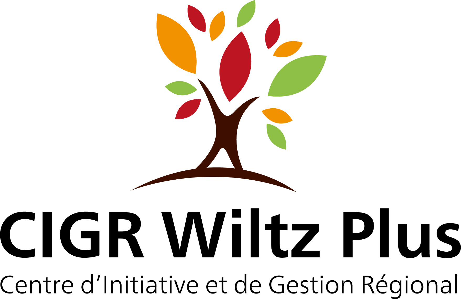 Logo CIGR Wiltz Plus a.s.b.l.