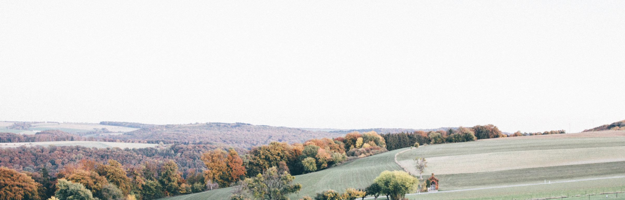 Banner Hazelnut House