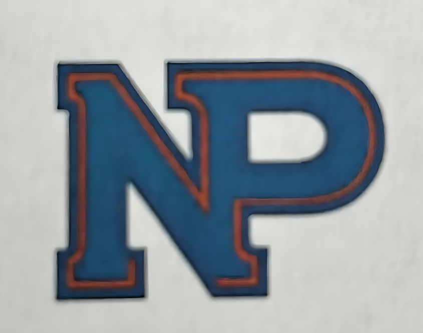 Logo NP-Neumann & Partner Sarl.