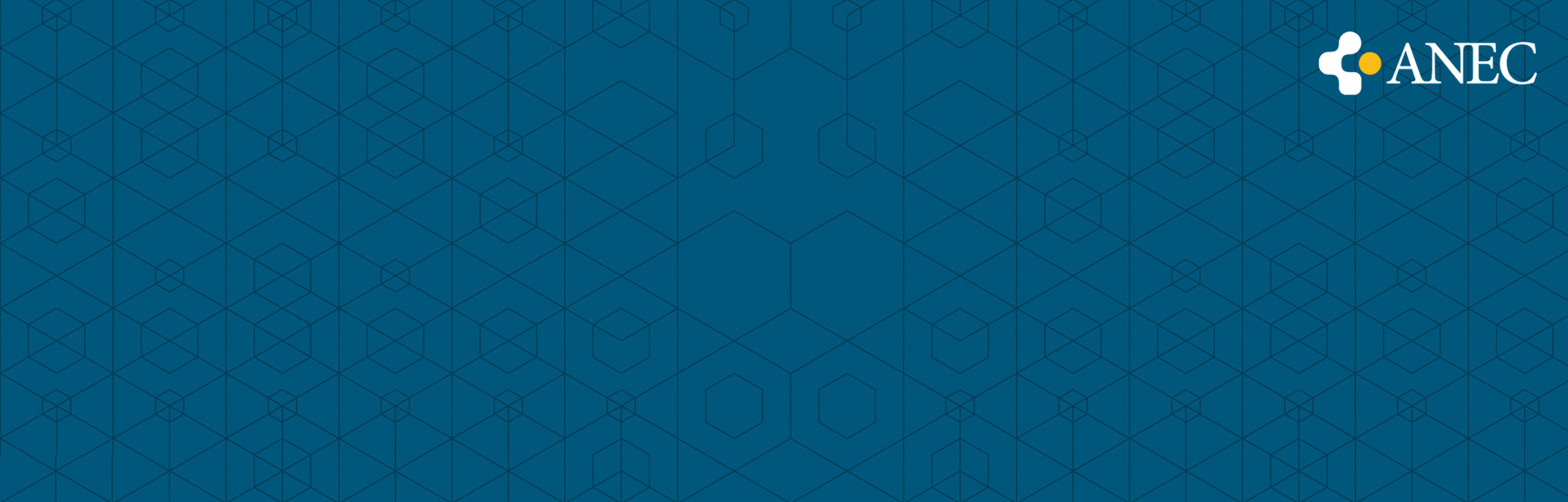 Banner ANEC G.I.E.