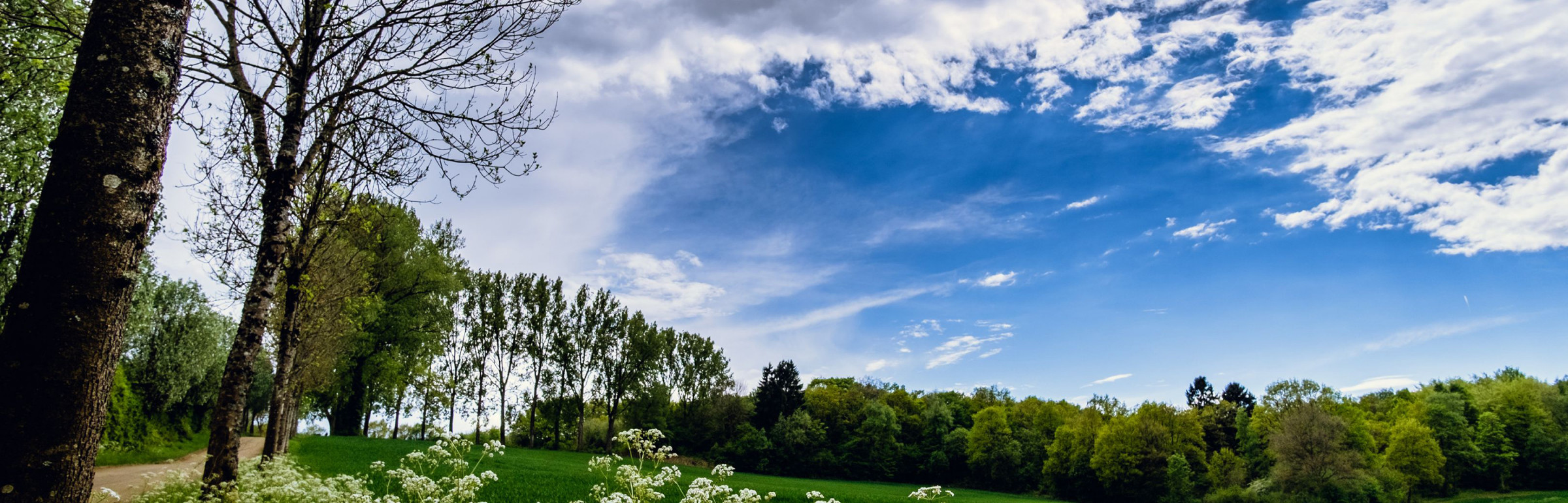Banner Territoire Naturel Transfrontalier de la Chiers et de l'Alzette