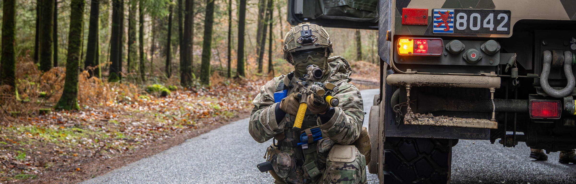 Banner Armée luxembourgeoise