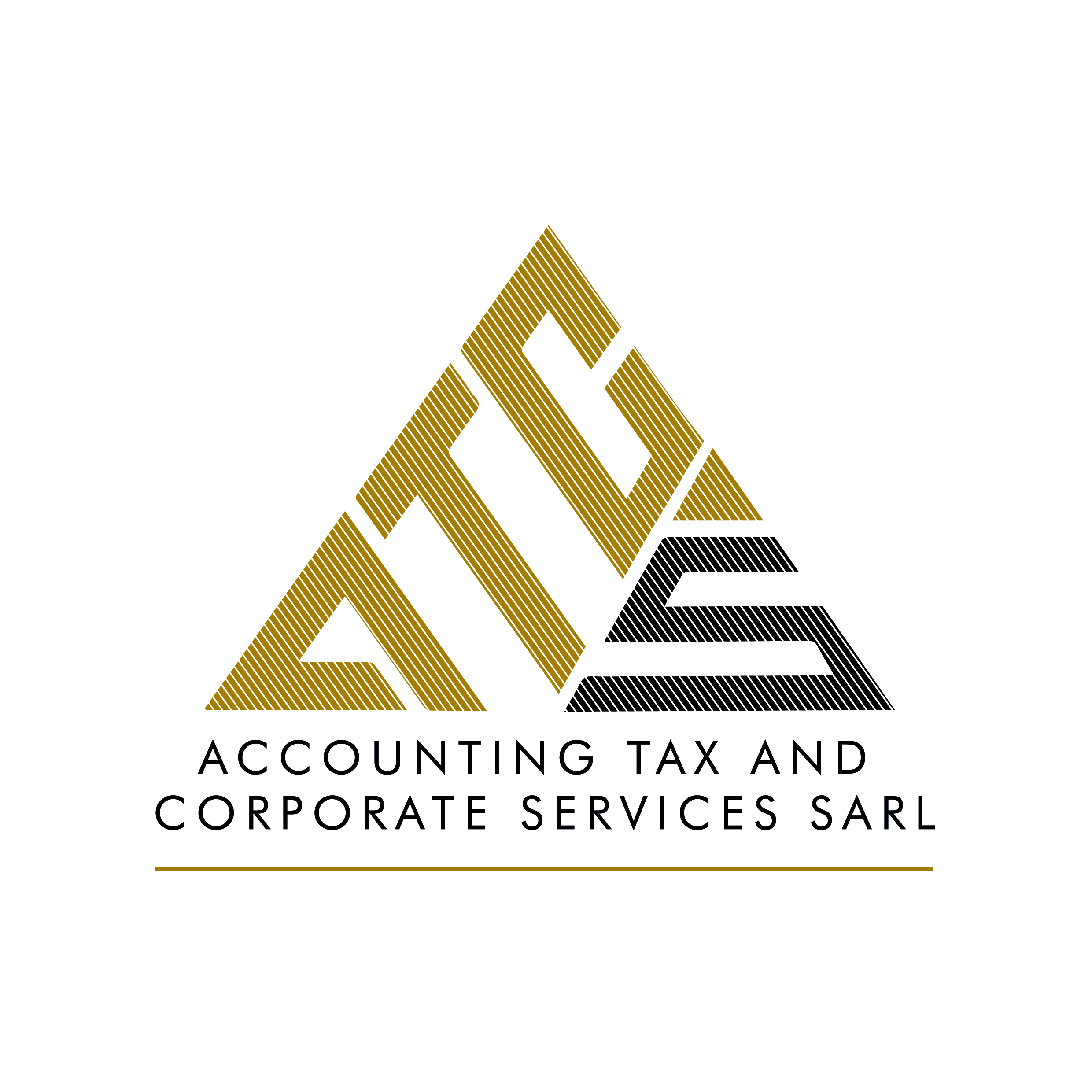 ATCS Sàrl logo