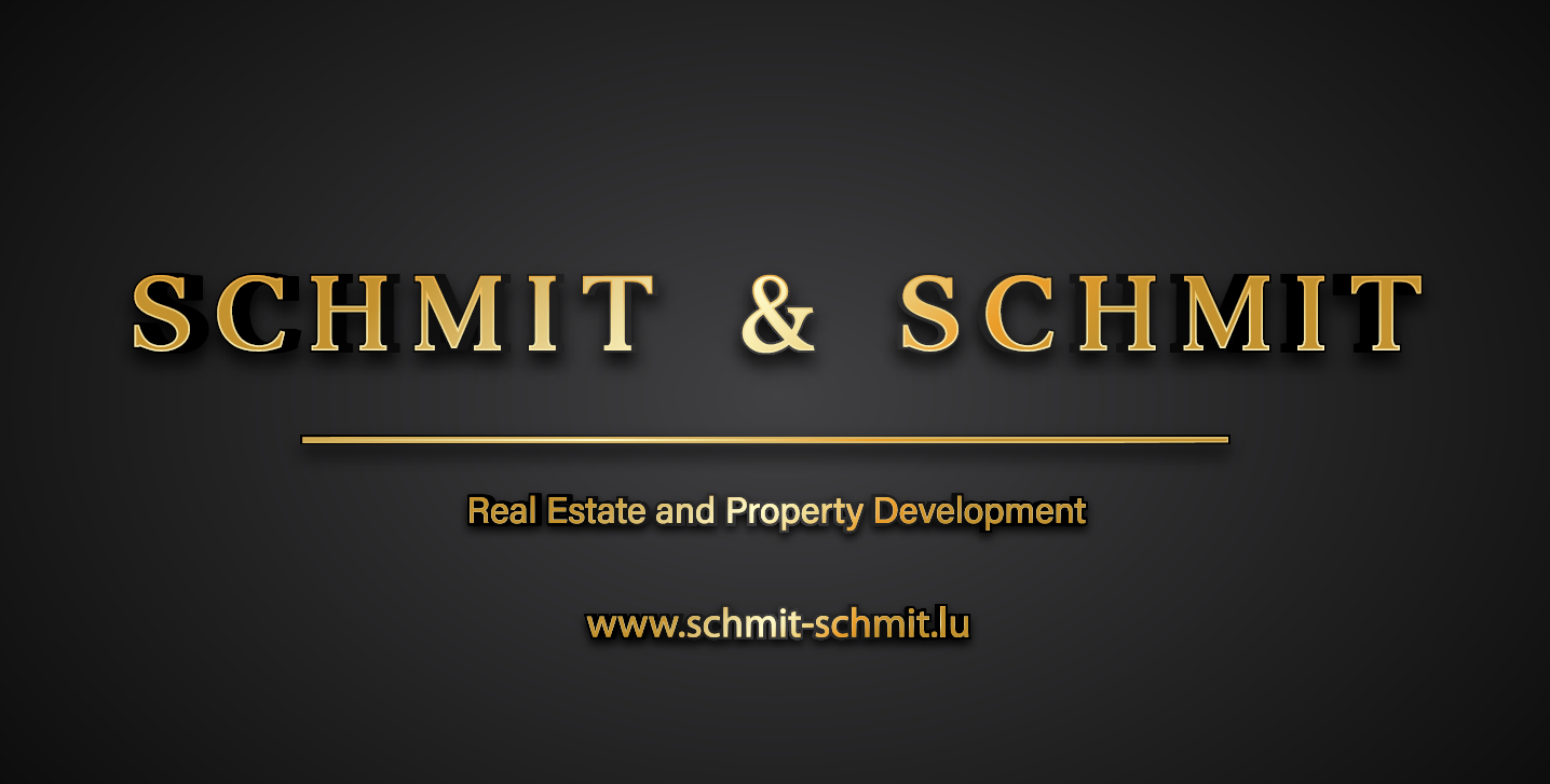 Logo Groupe Schmit & Schmit