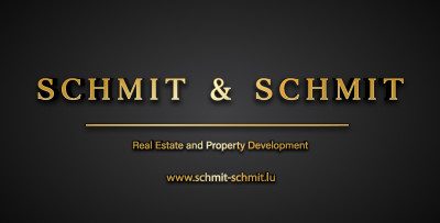 Logo Groupe Schmit & Schmit