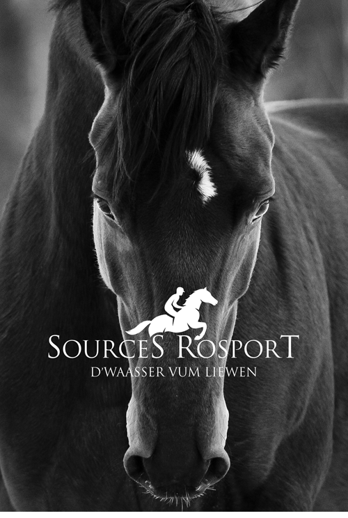 Sources Rosport Sarl logo