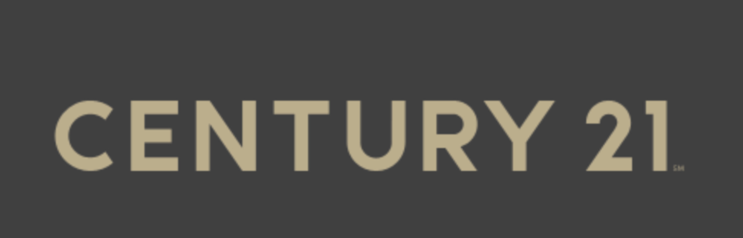 Banner Century 21
