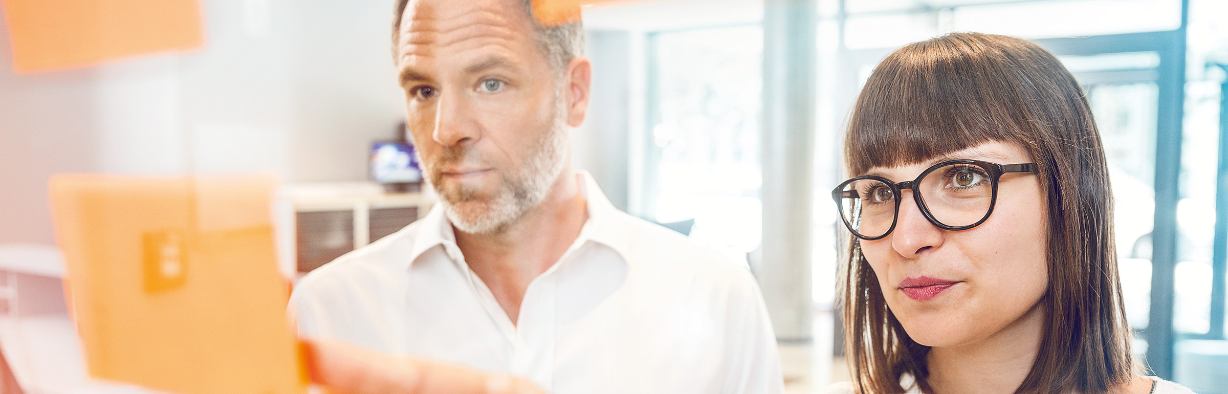 Banner Hoffmann France