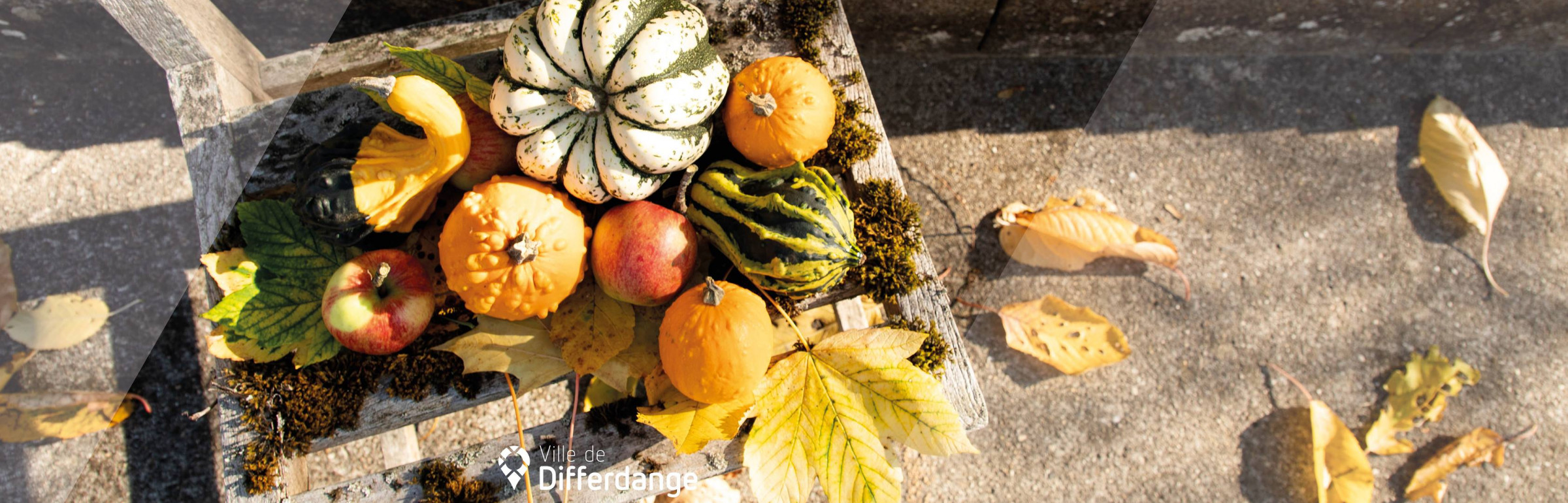 Banner Ville de Differdange
