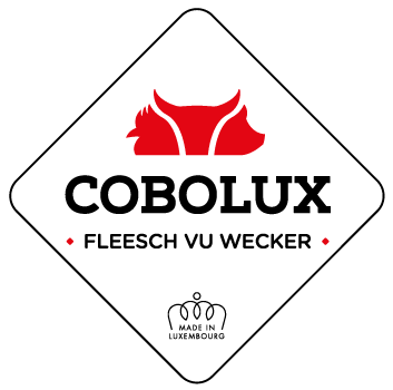 COBOLUX PRODUCTION SA logo