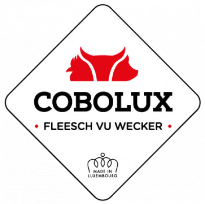 COBOLUX PRODUCTION SA logo