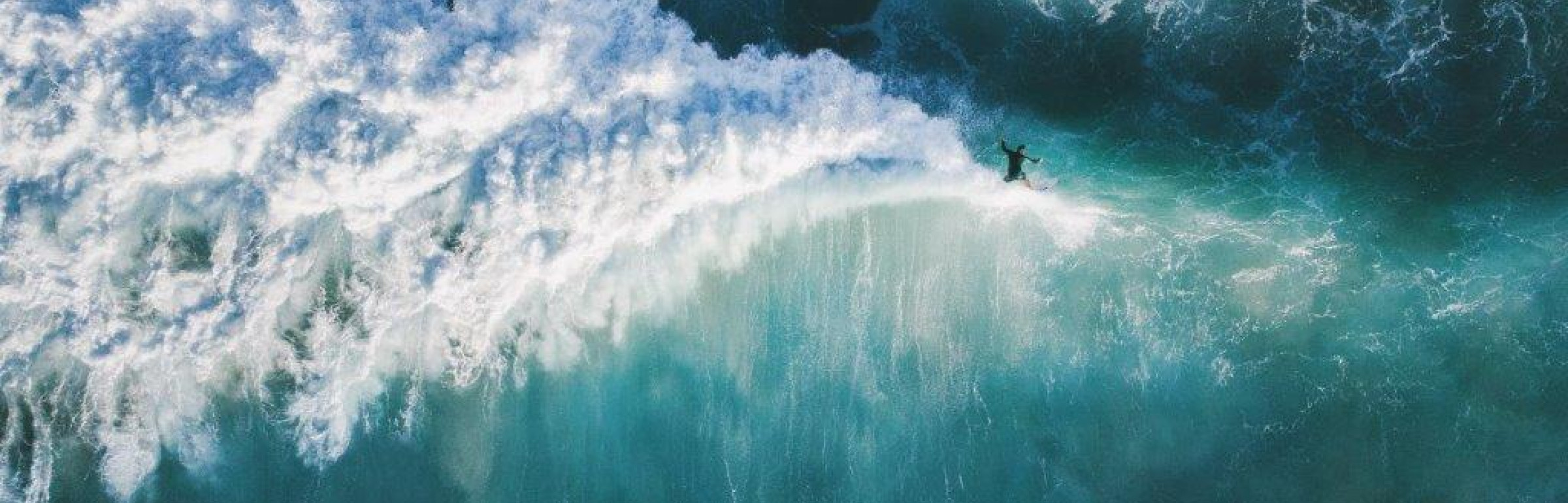 Banner Cipio Partners