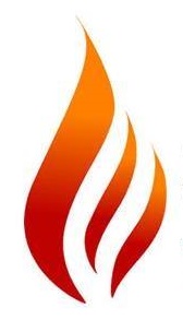 SAFETY FIRE PRO SARL logo