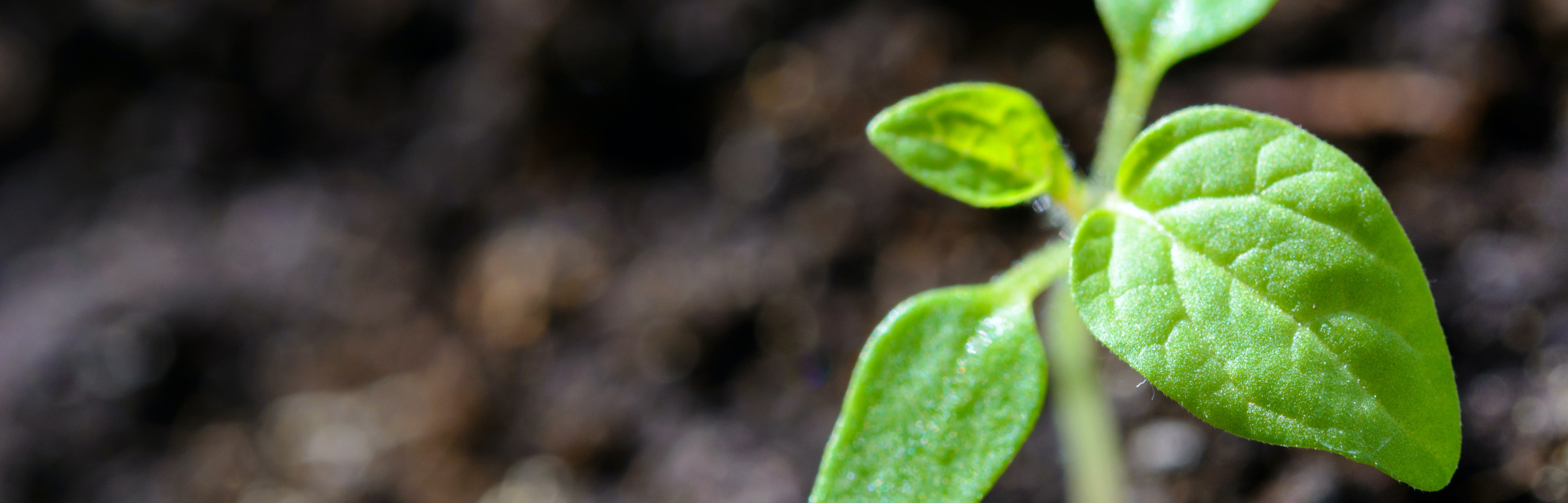 Banner LuxEnvironnement