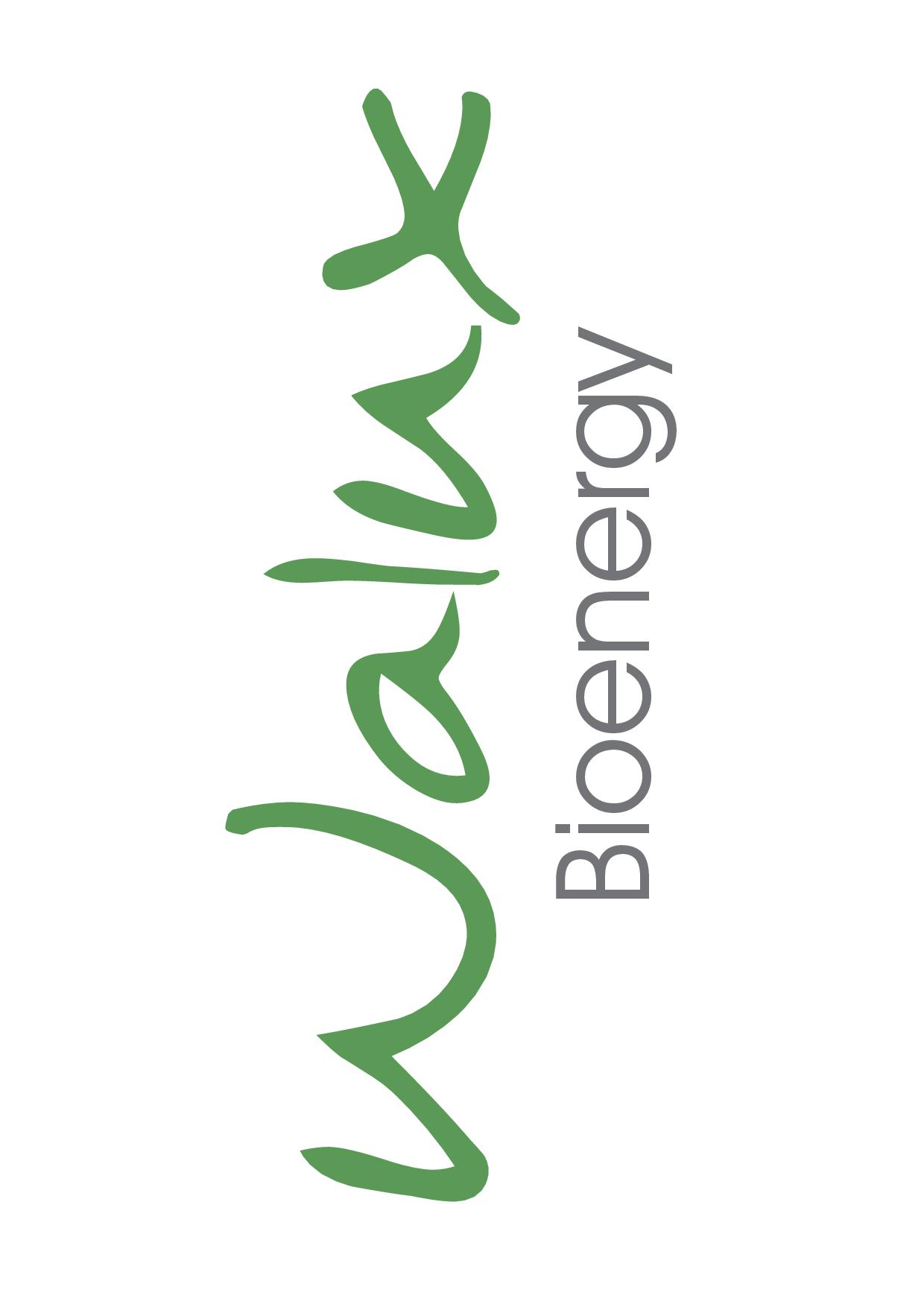 walux bioenergy sarl logo