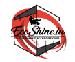 Eco shine cleaning logo