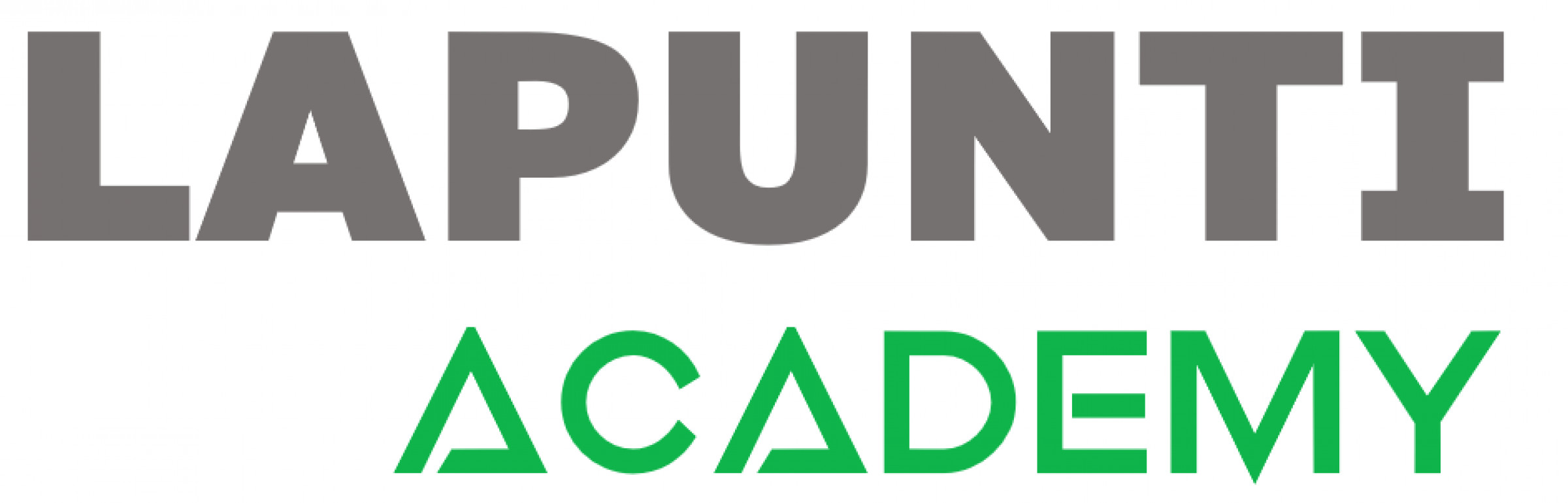 Banner Lapunti Securitis