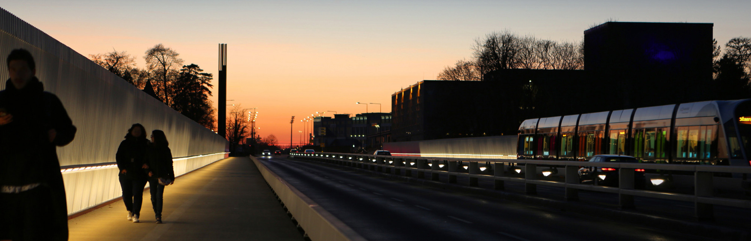 Banner Phoenix Solutions