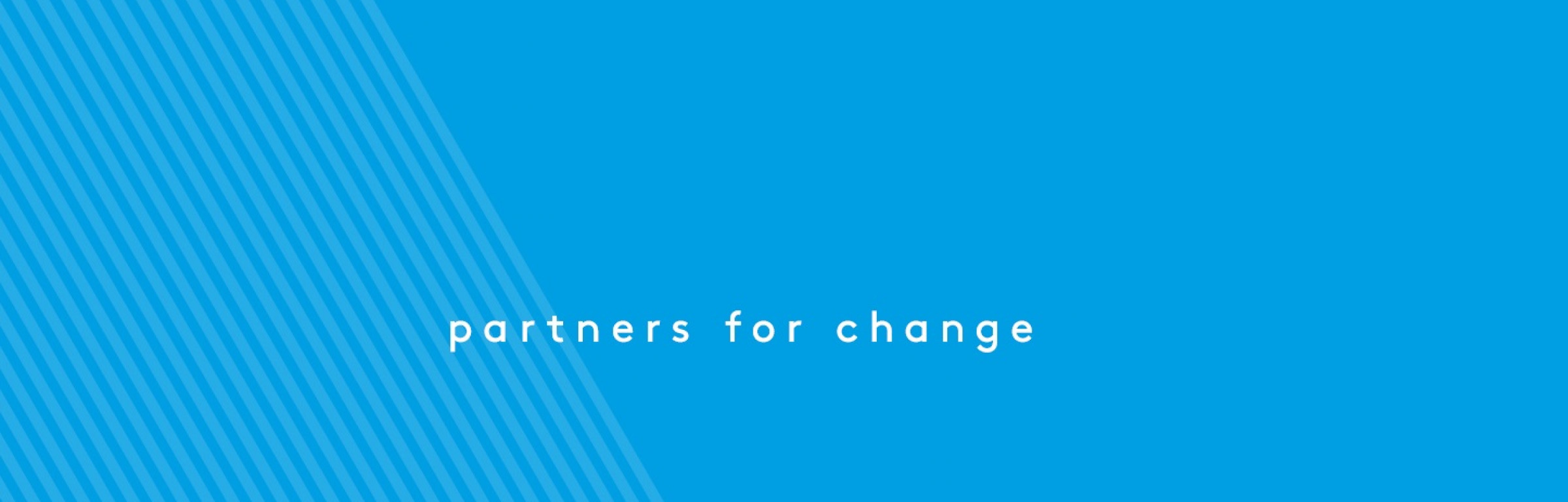 Banner zeb consulting