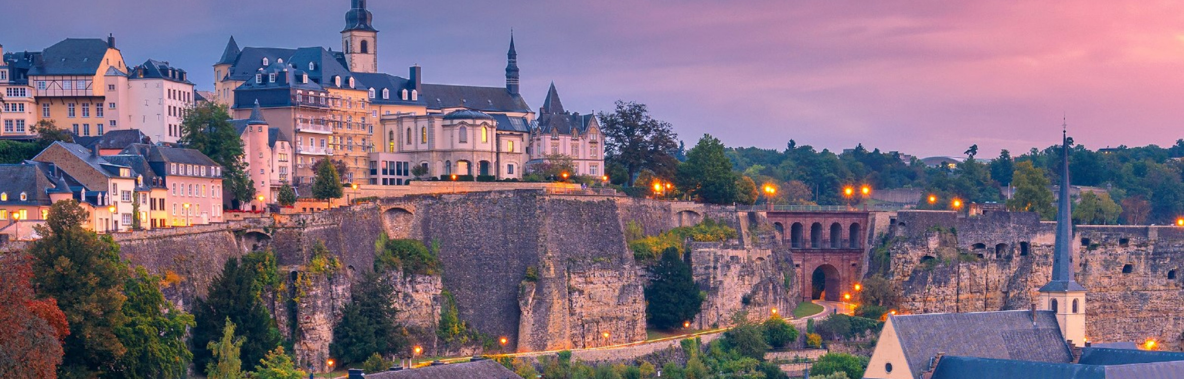 Banner NORTON ROSE FULBRIGHT