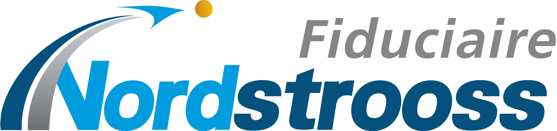 FIDUCIAIRE NORDSTROOSS N7 S.A. logo