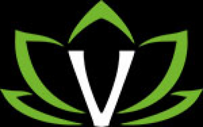 Logo VISHNU ARTISTS SARL-S