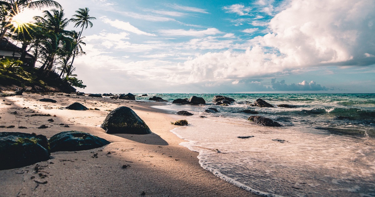 pexels-fabian-wiktor-994605