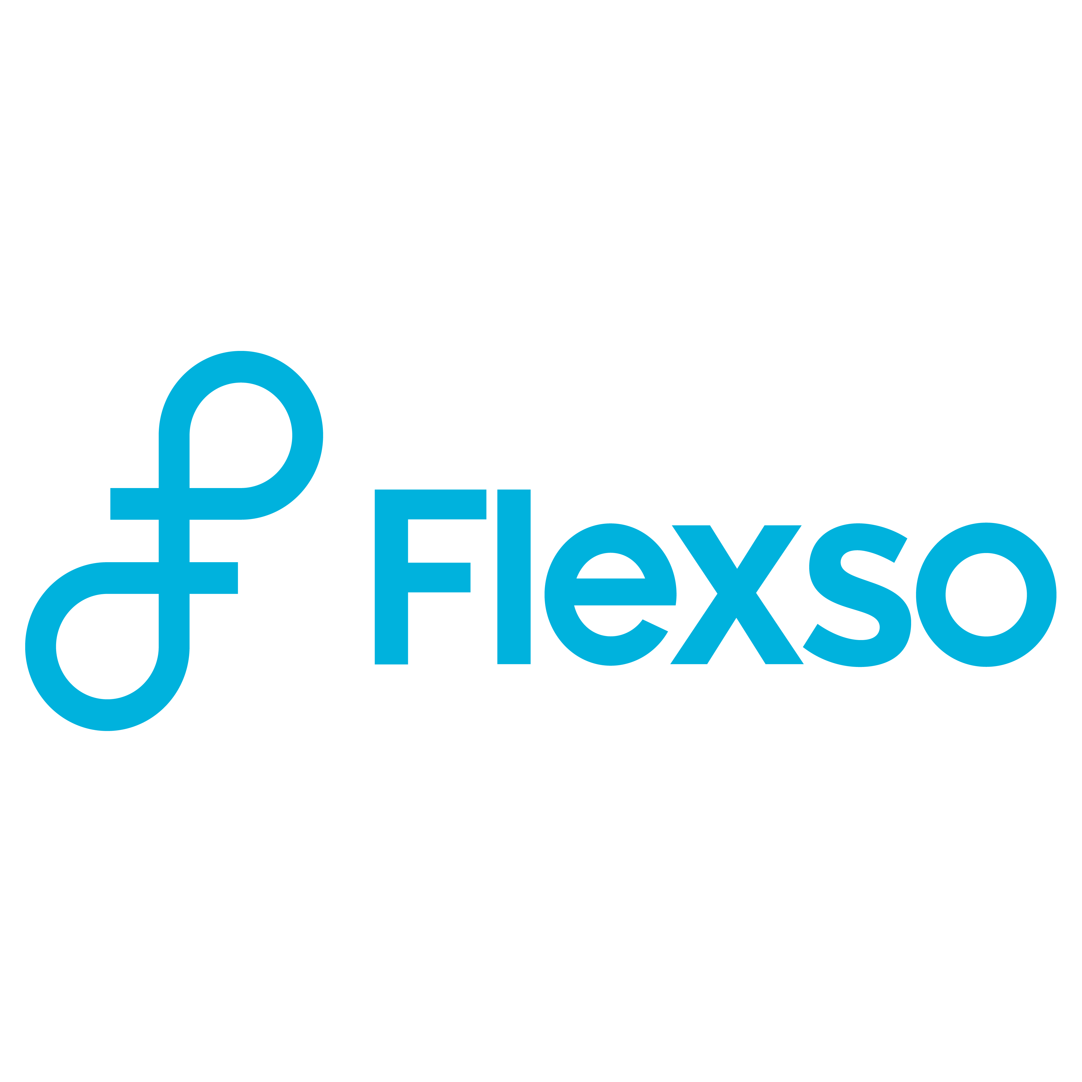 Flexso logo