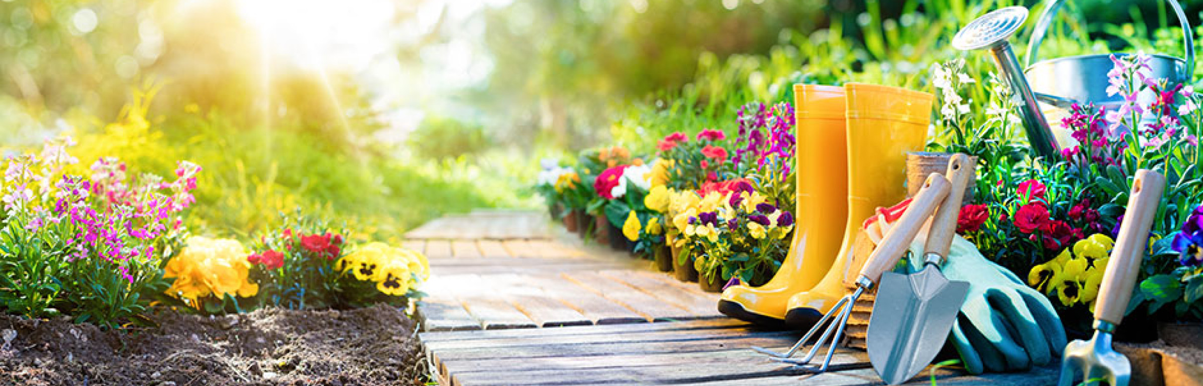 Banner Hervé le jardinier