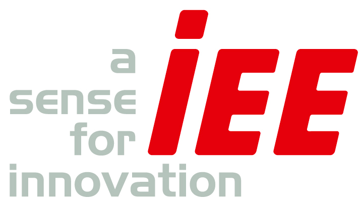 IEE logo