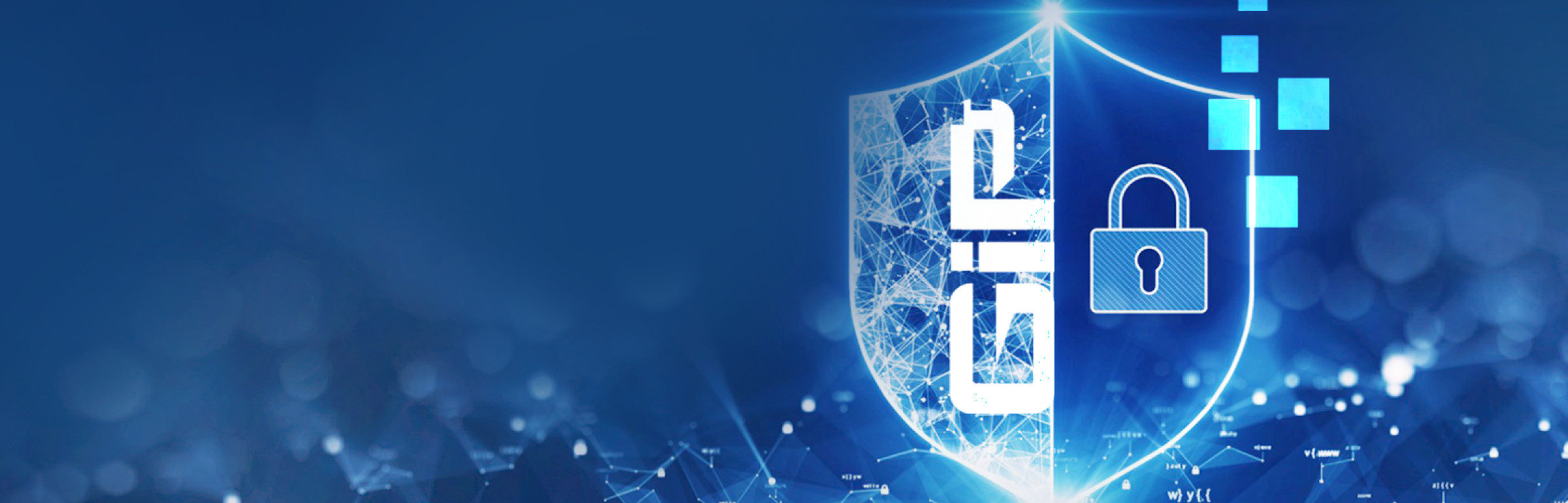 Banner G.I.P. S.à r.l.