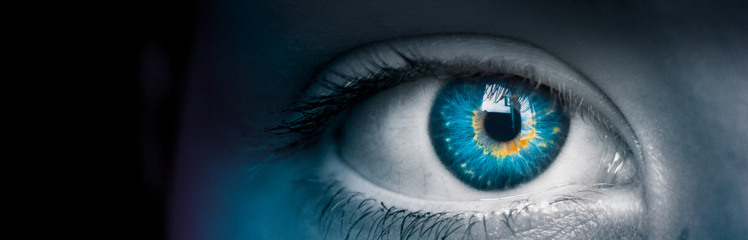 Banner Vitis Life S.A.