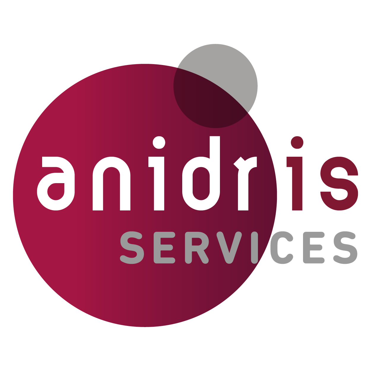 Anidris Services logo