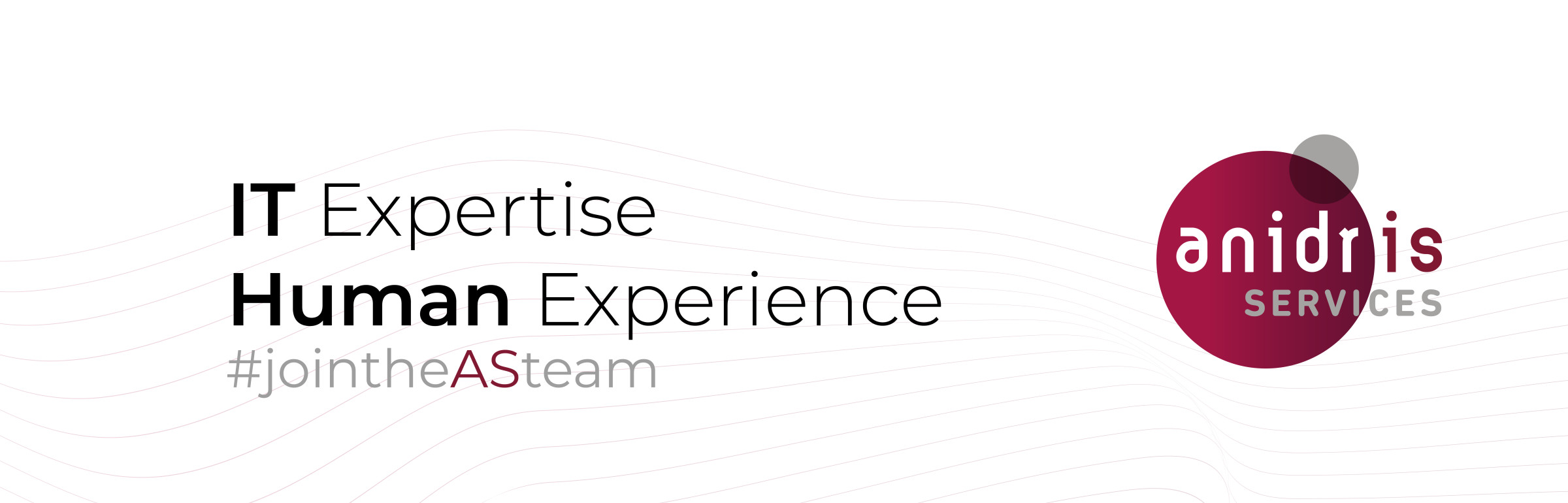 Banner Anidris Services