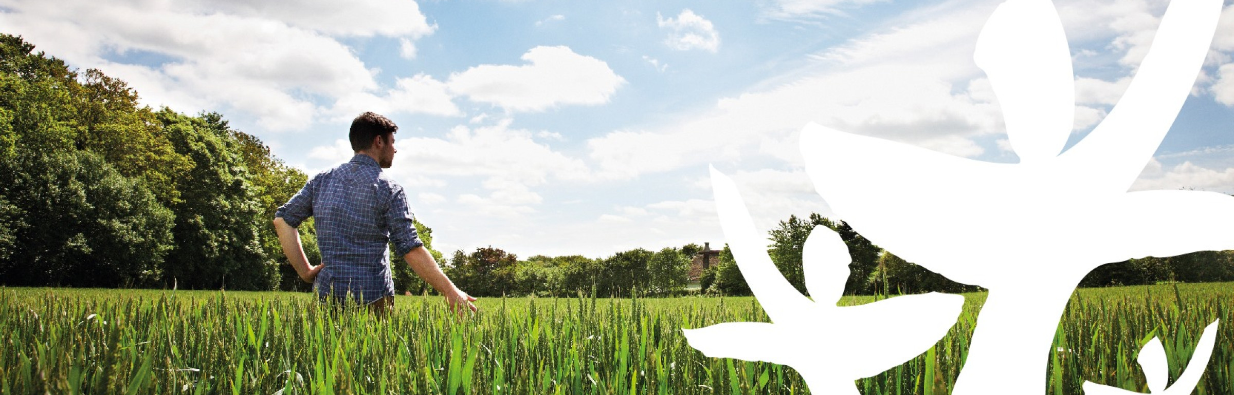 Banner Monceau Assurances