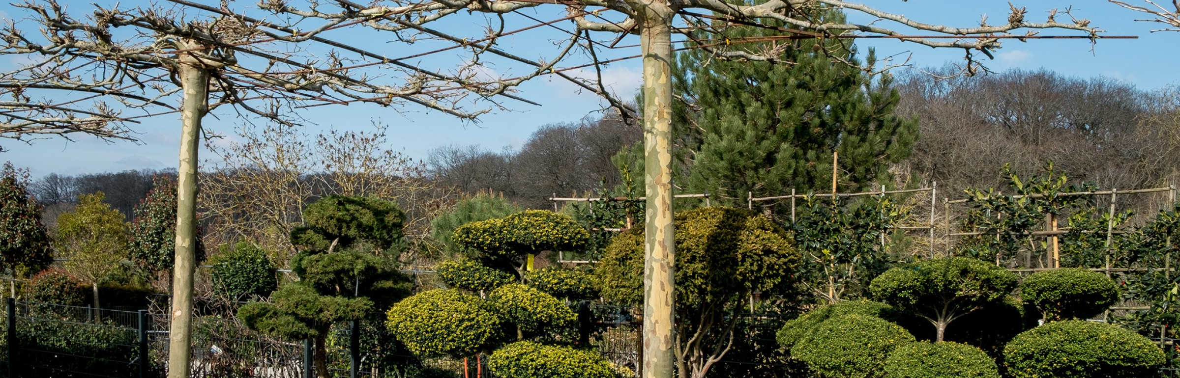 Banner Mon Jardin S.àr.l.