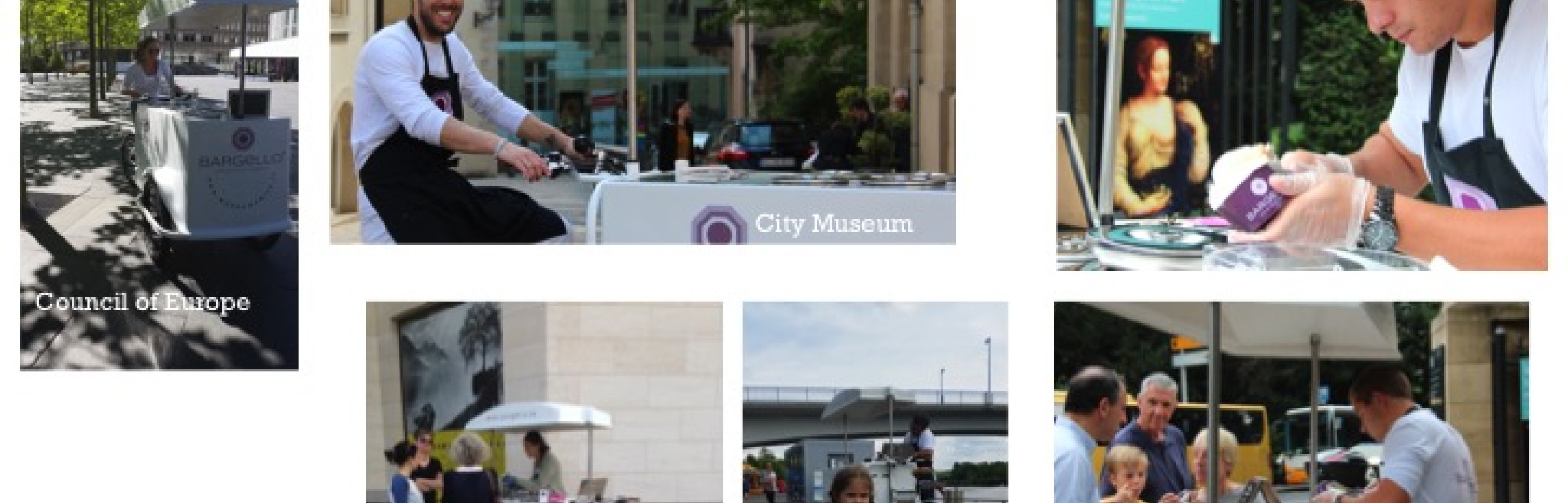 Banner Glacier Bargello