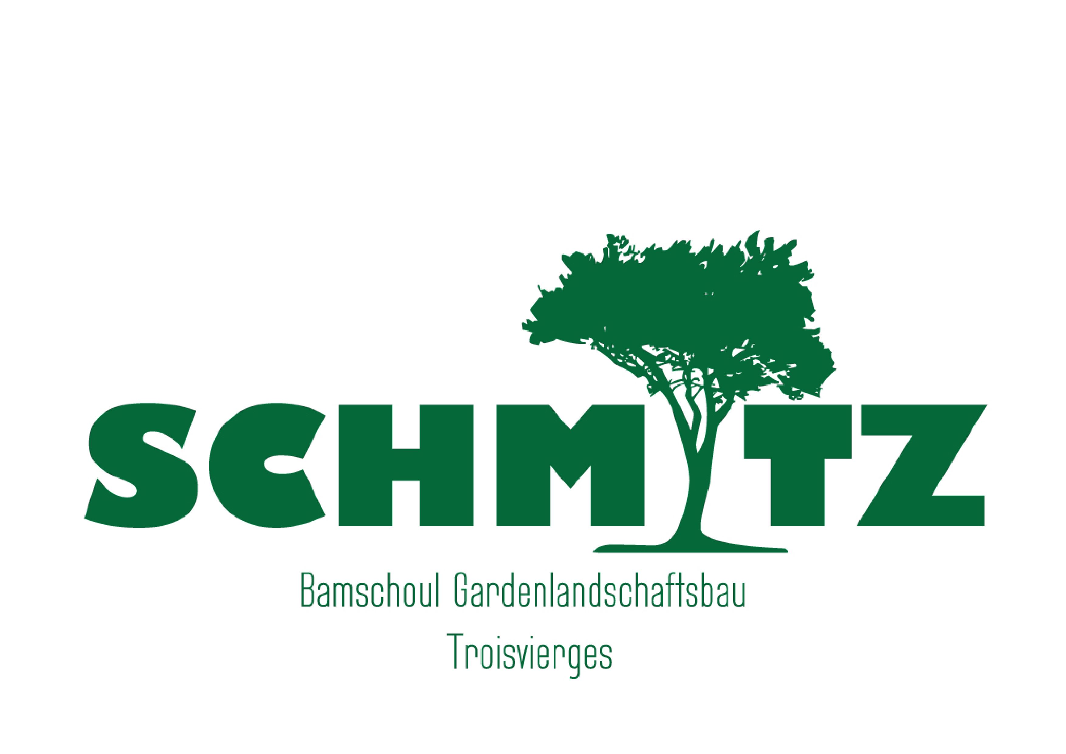 Bamschoul Schmitz logo