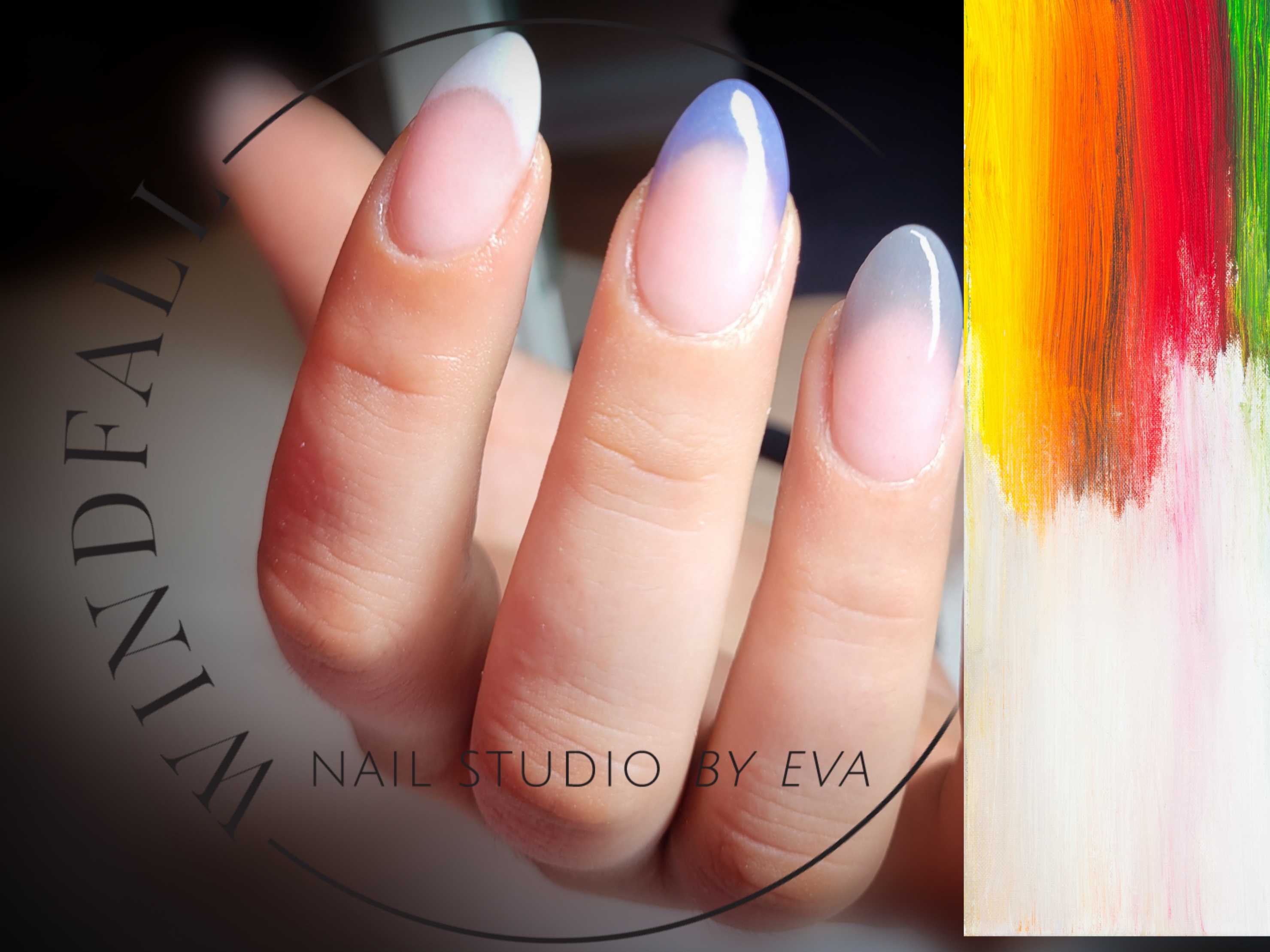 Windfallnailstudio by Eva logo