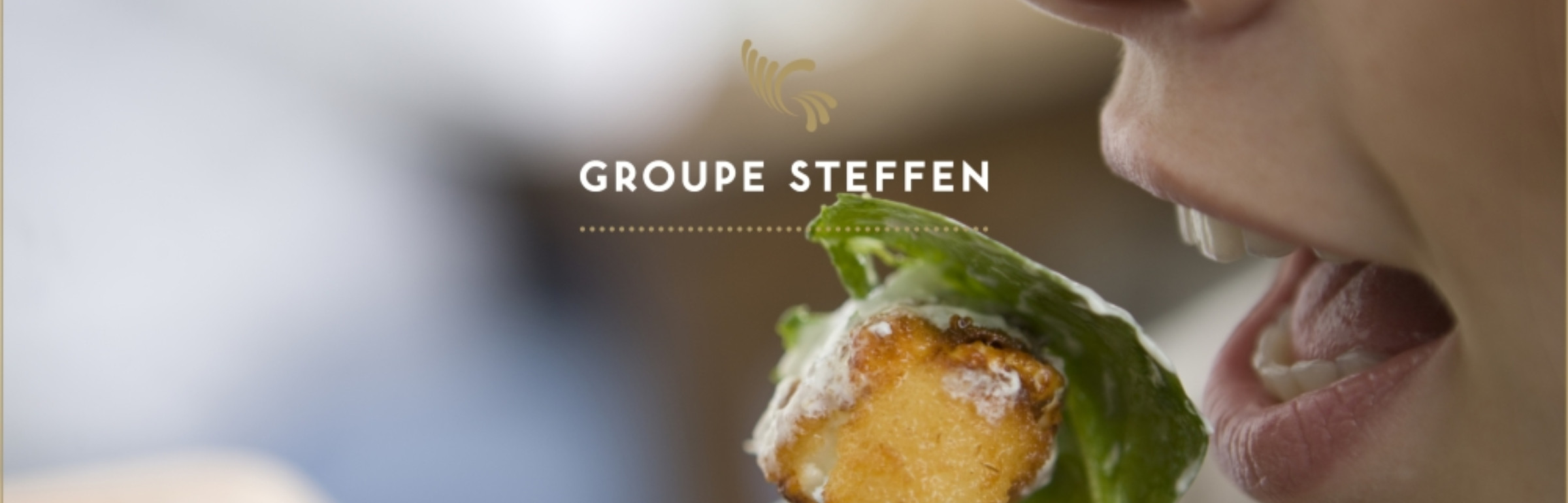 Banner Groupe Steffen