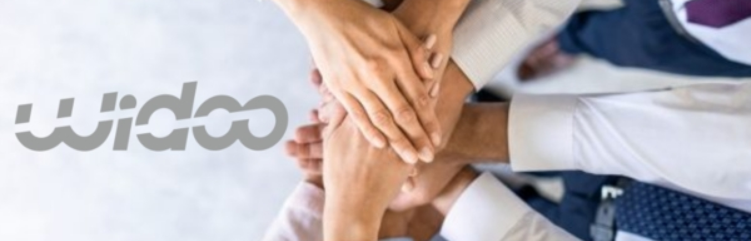 Banner WIDOO SA