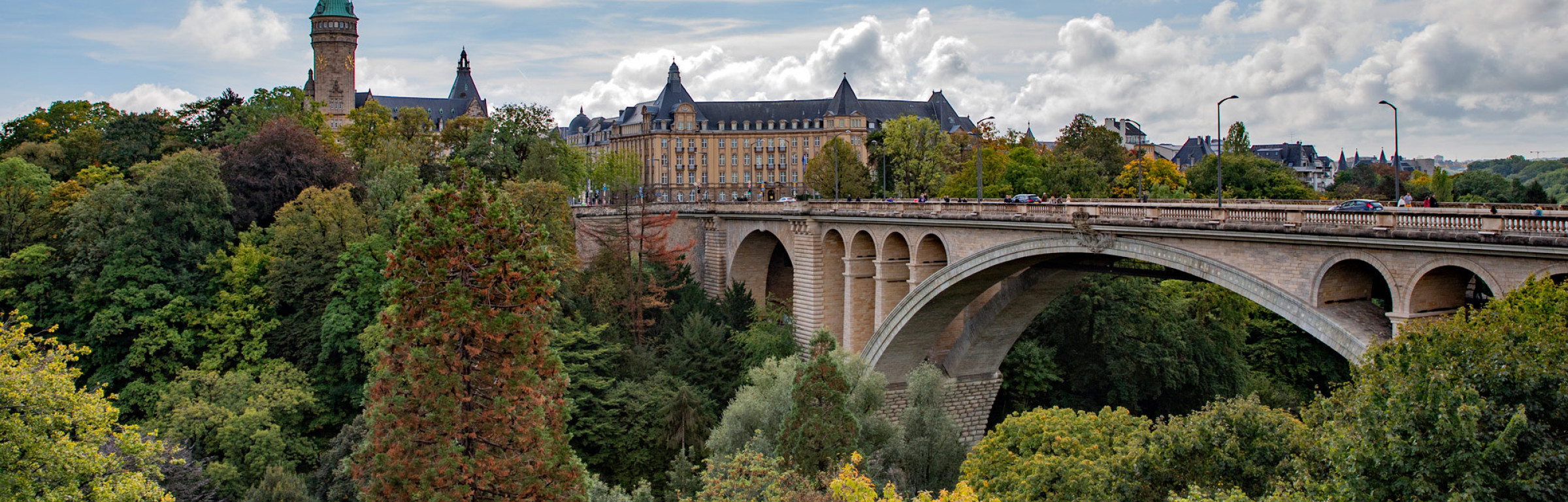 Banner Terra Matters GIE