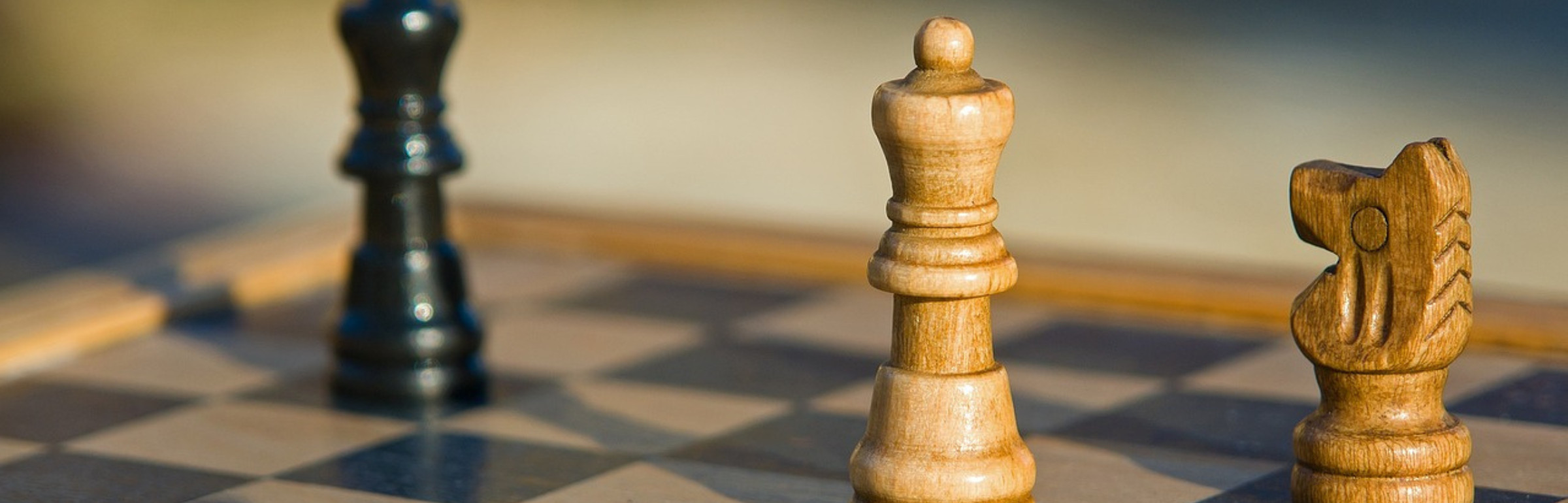 Banner CERES Business Solutions