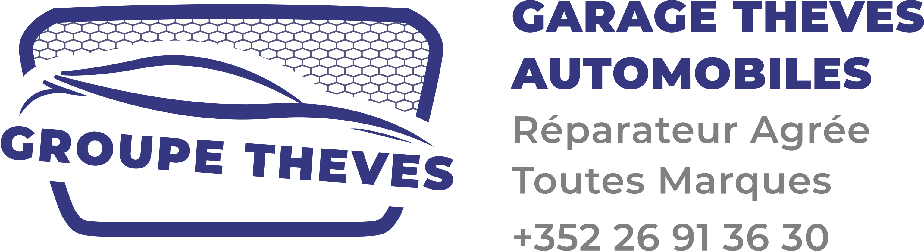 Garage Theves logo