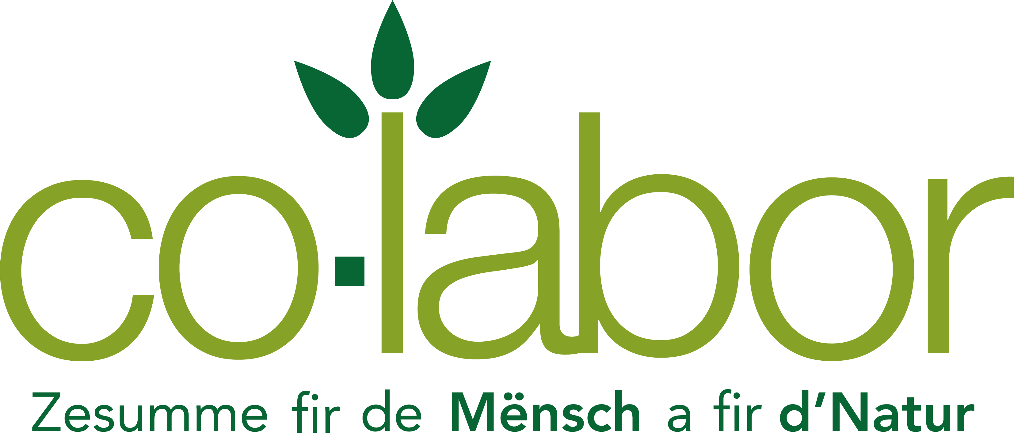 co-labor logo