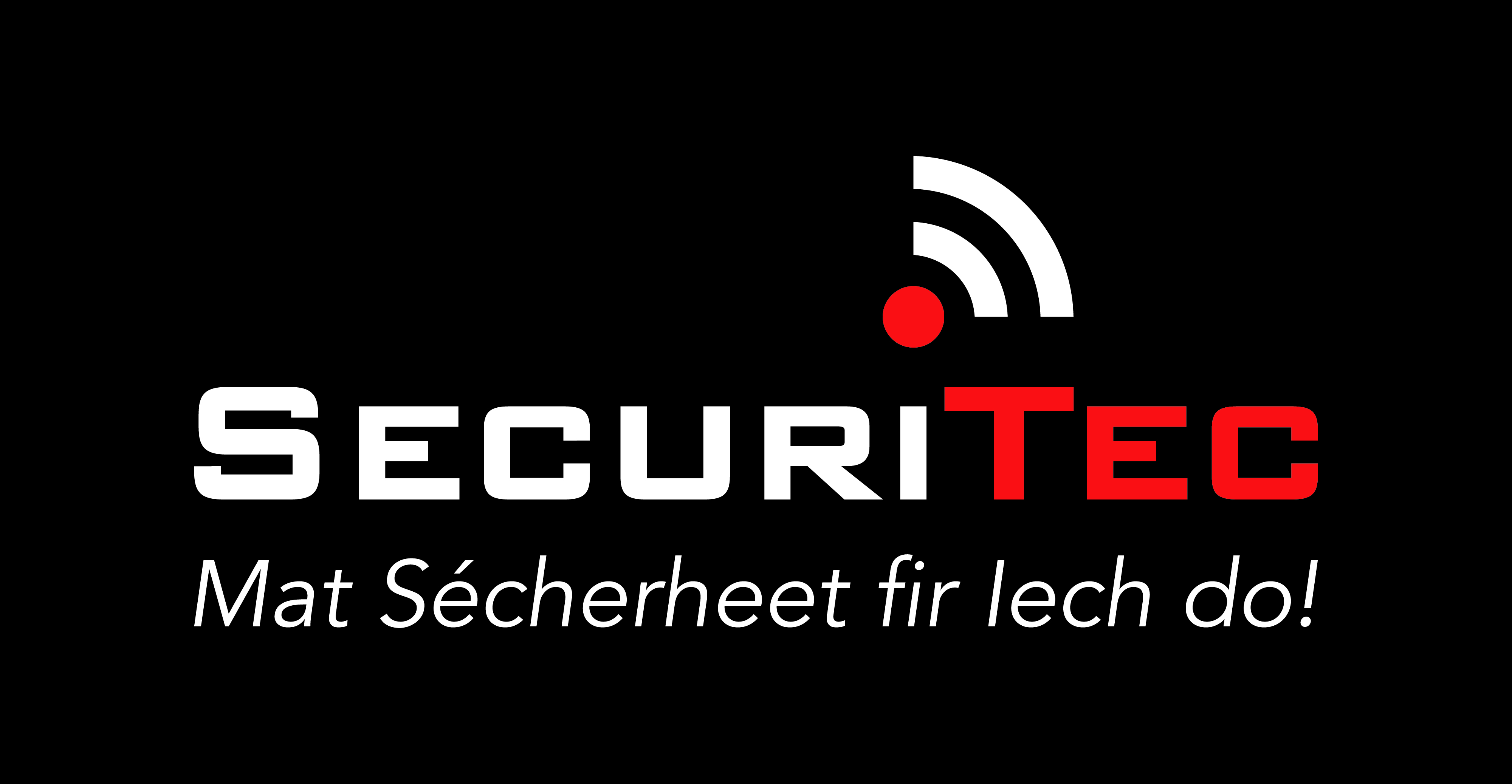 SecuriTec logo